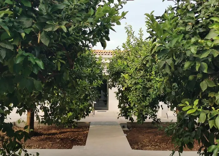 Terra Dei Limoni