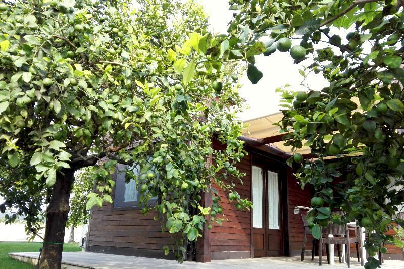 Terra Dei Limoni Hotel