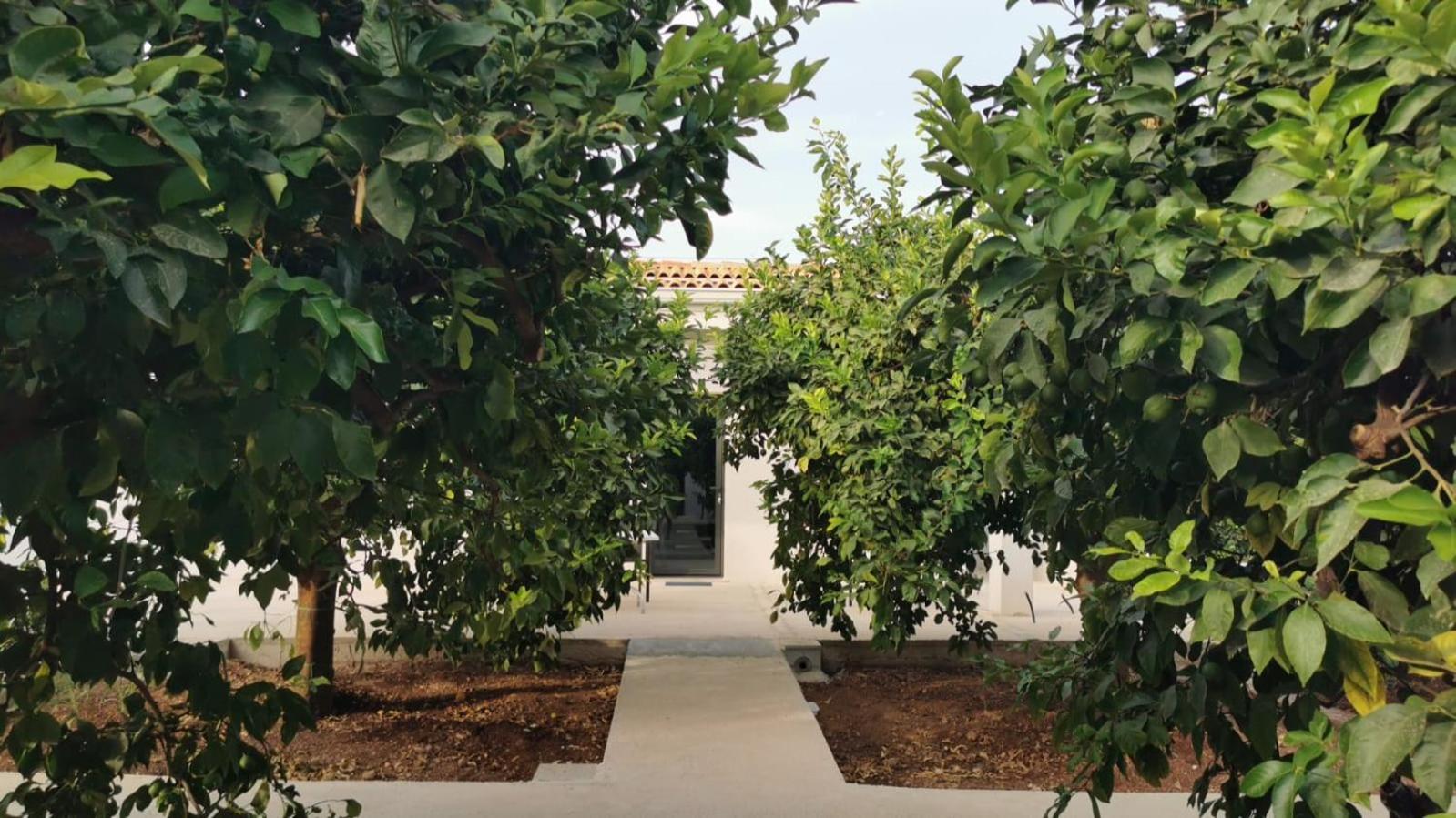 Hotel Terra Dei Limoni 3*
